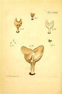 n285_w1150