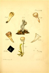 n268_w1150