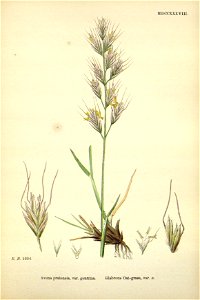 n275_w1150