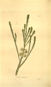 n151_w1150