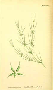 n153_w1150