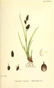 n468_w1150