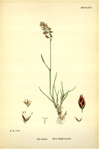 n301_w1150