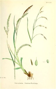 n432_w1150