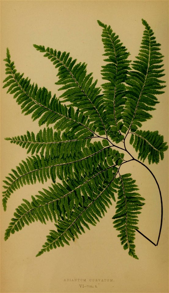 n45_w1150