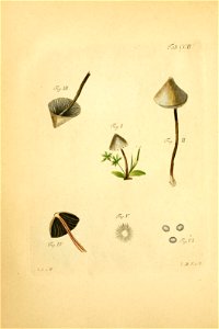 n117_w1150