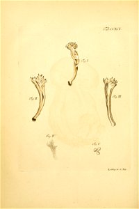 n209_w1150