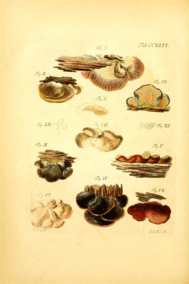 n159_w1150