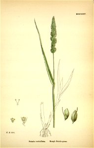 n231_w1150