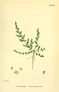 n496_w1150