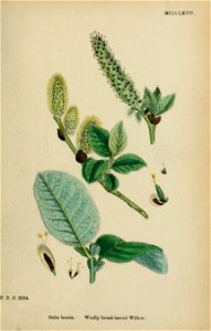 n696_w1150