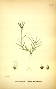 n227_w1150