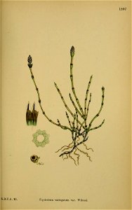 n496_w1150