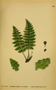 n436_w1150