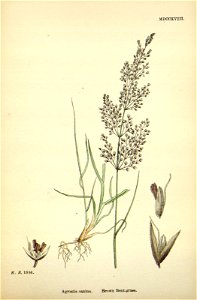 n255_w1150