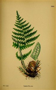 n402_w1150