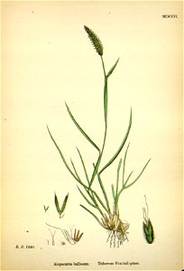 n239_w1150