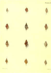 n463_w1150