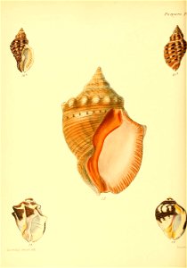 n399_w1150