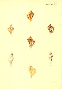 n127_w1150