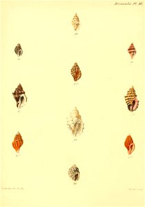 n451_w1150