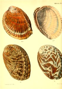 n319_w1150