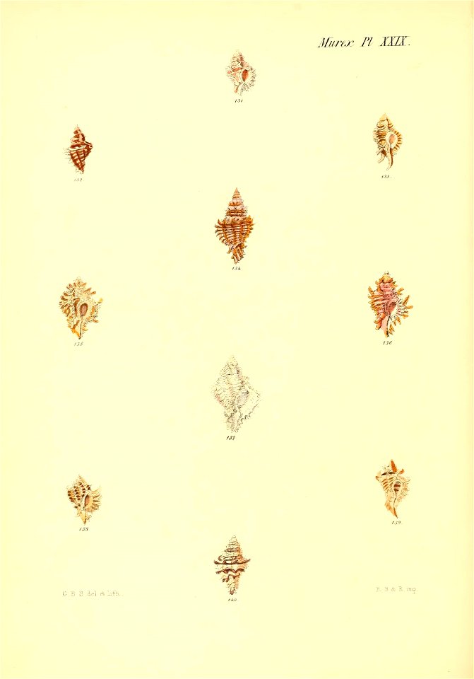 n123_w1150