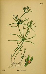 n504_w1150