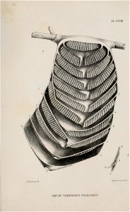 n254_w1150