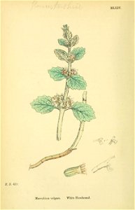 n151_w1150