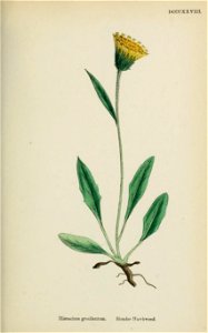 n552_w1150