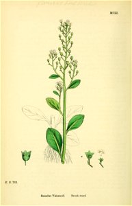n433_w1150