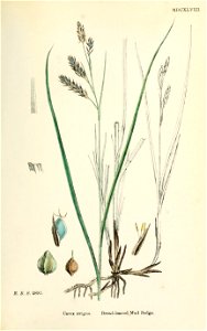 n398_w1150