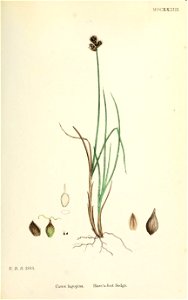 n368_w1150