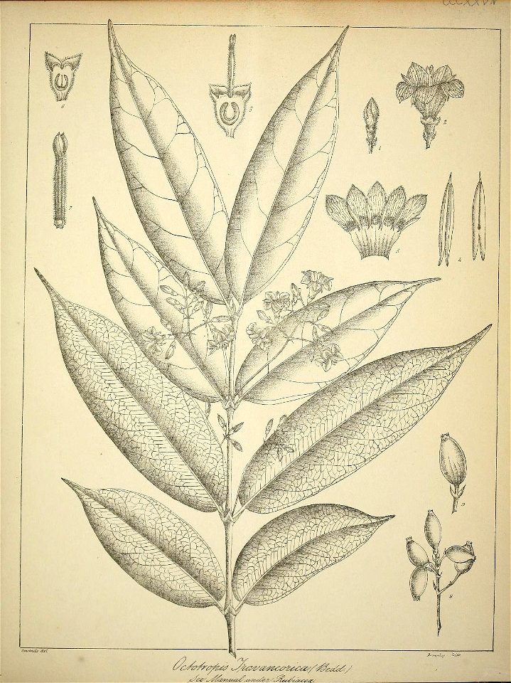 n484_w1150