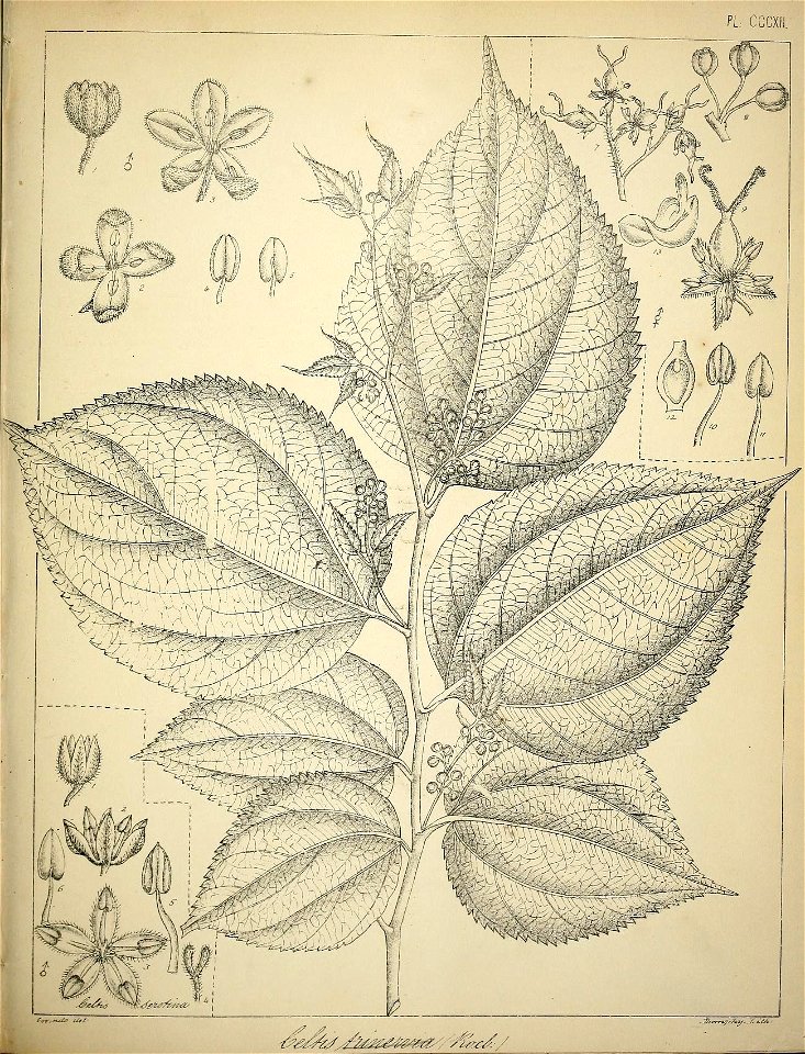 n440_w1150