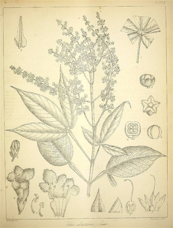 n200_w1150