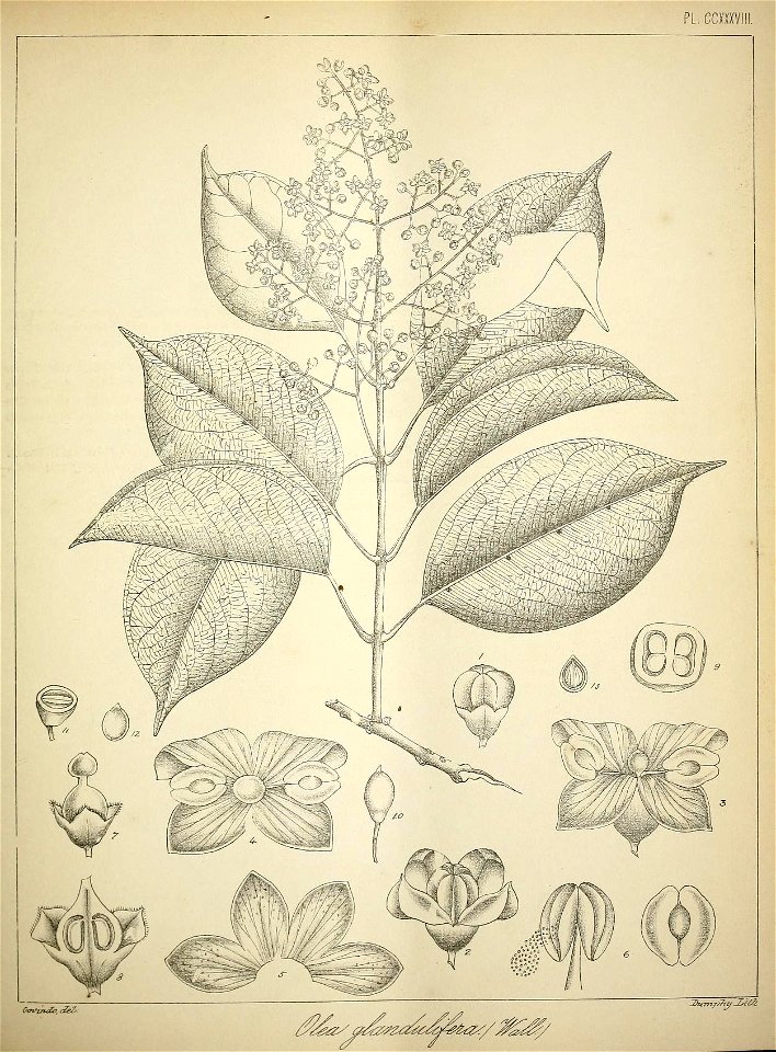n142_w1150