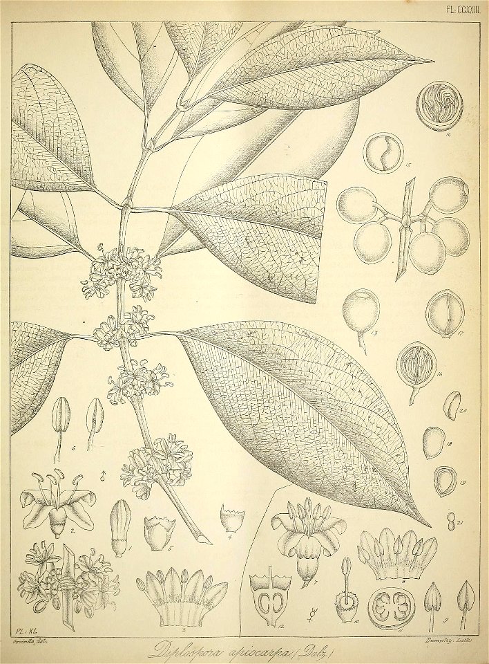 n82_w1150