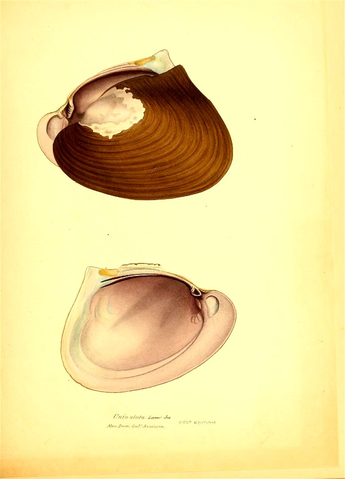 n68_w1150
