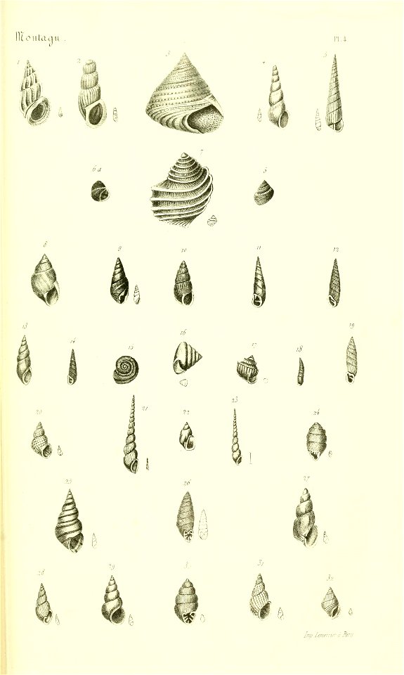 n408_w1150