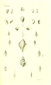 n406_w1150