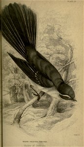 n158_w1150