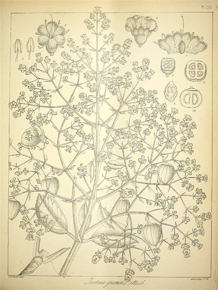 n192_w1150