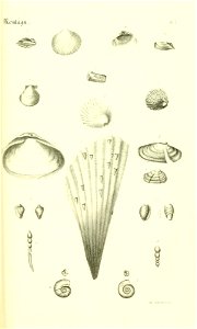 n404_w1150