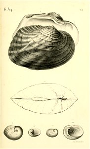 n84_w1150