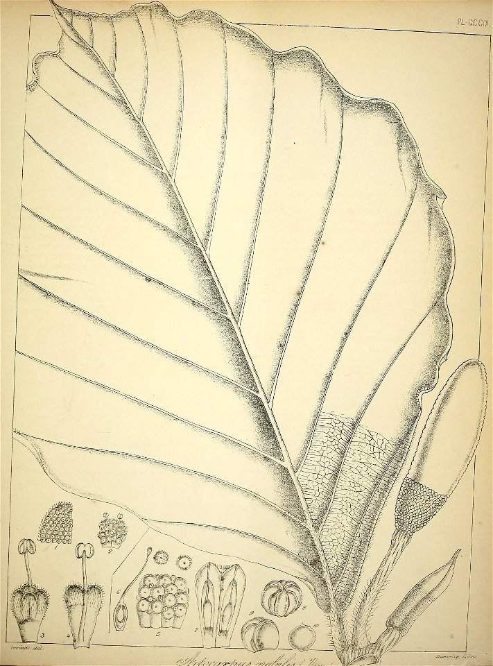 n428_w1150