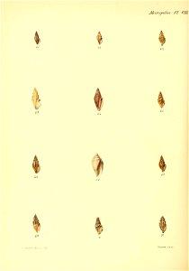 n379_w1150
