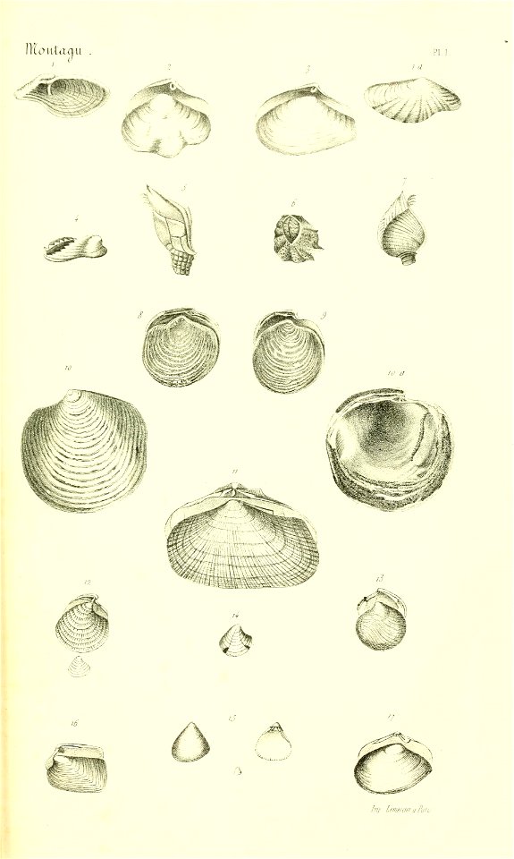 n402_w1150