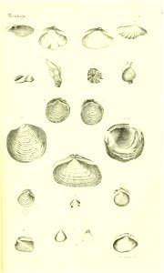 n402_w1150